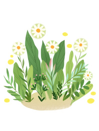 盛开的一丛花草插画