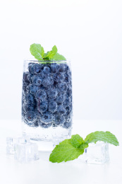 新鲜饱满的蓝莓浆果