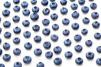 新鲜饱满的蓝莓浆果