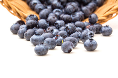 新鲜饱满的蓝莓浆果