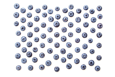 新鲜饱满的蓝莓浆果