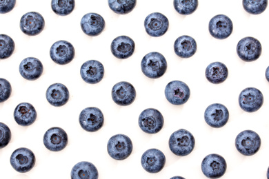 新鲜饱满的蓝莓浆果