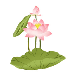 卡通手绘清新莲花荷叶插画