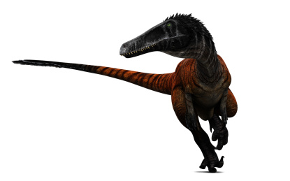 生活在白垩纪的杀手南方盗龙