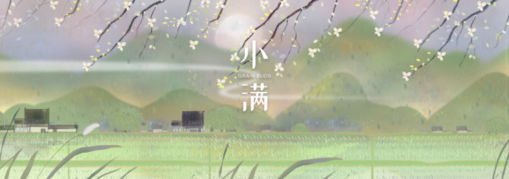 颗粒饱满的农田前的山林小屋