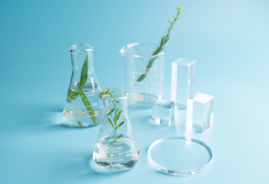 医疗实验及科学研究常用的玻璃器皿