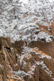 中国安徽省黄山市黄山自然风景区