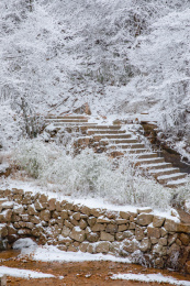 中国安徽省黄山市黄山自然风景区