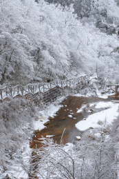 中国安徽省黄山市黄山自然风景区