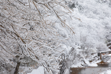 中国安徽黄山市黄山自然风景区