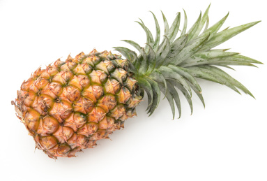 白色背景中的一个热带水果菠萝