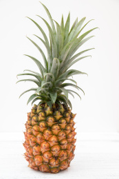 白色背景中的热带水果菠萝