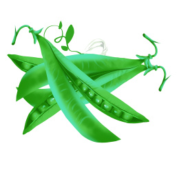 卡通手绘绿色蔬菜扁豆荚插画