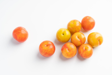 新鲜的水果——酸甜可口的李子