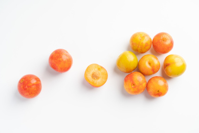 新鲜的水果——酸甜可口的李子