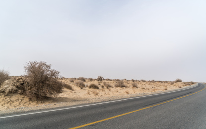 中国新疆和田地区春季公路胡杨风光