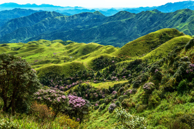 晴空下的高山杜鹃花灌木林地及草甸，中国广东省阳江市阳春市双滘镇鸡笼顶