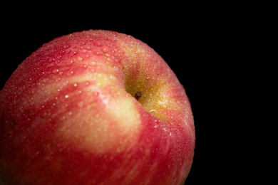 黑色背景里面带着露水水珠的苹果特写