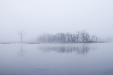 中国湖北省神龙架大九湖湿地公园