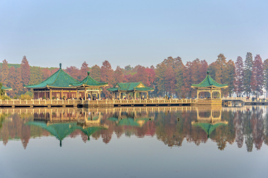 中国湖北武汉东湖听涛景区碧潭观鱼