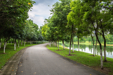 中国广东省东莞市燕岭湿地公园湖边的林荫小路