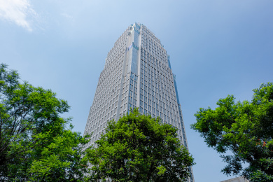 树下仰拍树冠和高耸入云的独栋高层现代建筑