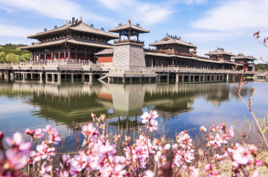 中国山西大同云冈石窟景区花丛中的灵岩寺外景风光