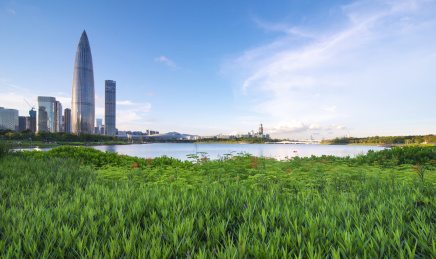 深圳市南山区后海片区CBD水天两届天际线下午风光