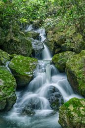 浙江金华磐安县风崖谷的瀑布风景
