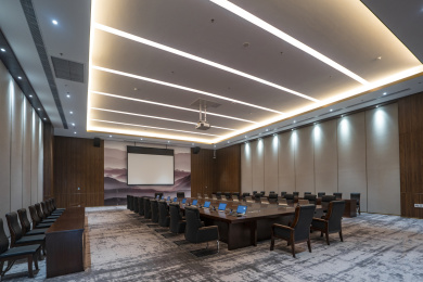 中国福建龙岩会展中心一处会议室内景