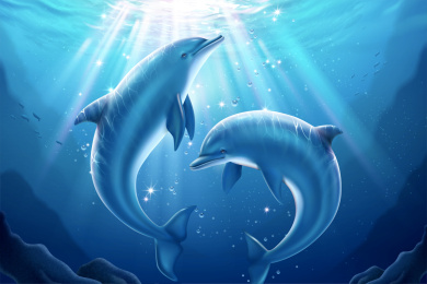 海豚嬉戏海洋世界插图