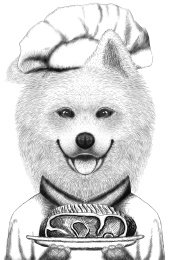 手绘黑白色的端着食物的萨摩耶犬