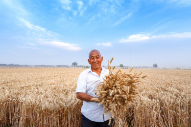 麦地里开心的抱着麦穗的农民