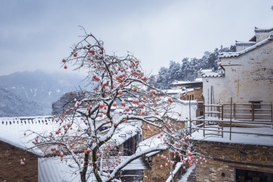 江西上饶婺源古徽州篁岭小镇雪后