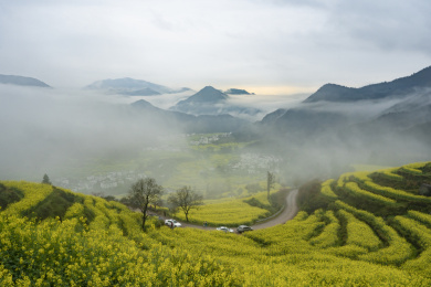 云雾缭绕下的油菜花梯田及点缀其中的徽派建筑，中国江西婺源