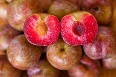 新鲜的茂名钱排银妃三华李的其中一个被切开露出紫红色果肉