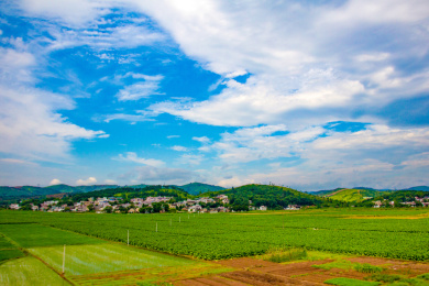 艳阳天下的中国乡村自然风貌