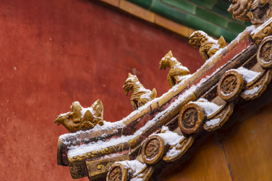 雪后中国北京故宫宫殿屋檐特写