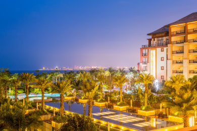 福建省厦门市海边旅游棕榈树夜景