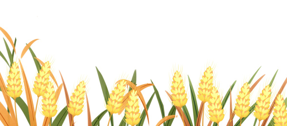 小清新风格秋天丰收插画元素