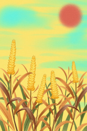 小清新风格秋天丰收插画背景