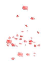 水彩风格花瓣飘落古风插画