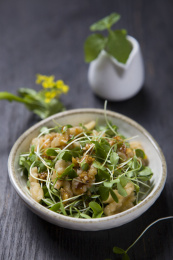 放在深色餐桌上的一盘传统家常凉拌菜 —  香椿桃仁