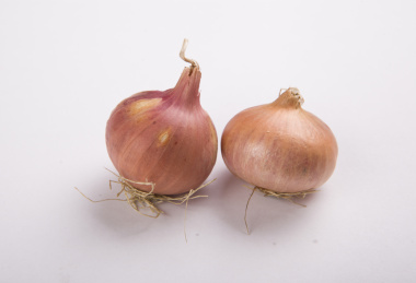 美食中必不可少的蔬菜 — 小干葱
