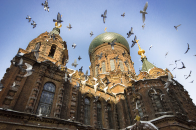 中国哈尔滨索菲亚大教堂与飞舞的鸽群