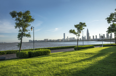 深圳湾城市海滨公园的绿色草坪，远处有城市高楼大厦建筑群