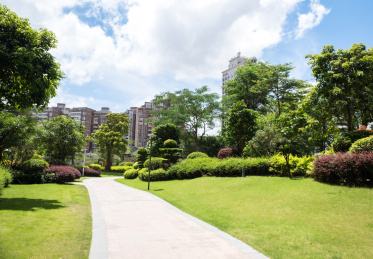 蓝天白云下房地产小区优美的园林环境