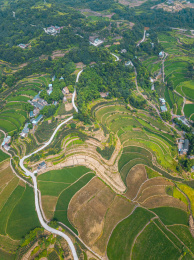 航拍视角下的重庆乡村夏季田园风光