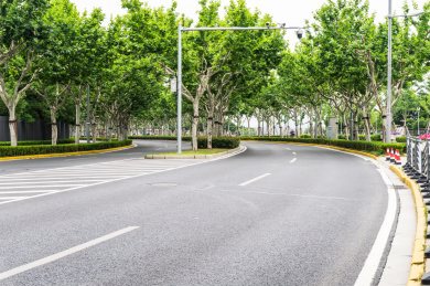 绿色树木下的沥青车行道马路