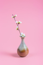  粉红色背景上的花瓶和插花花蕾